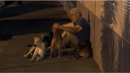 Homeless man’s six loyal dogs wait 24 hours outside hospital after he suffers stroke