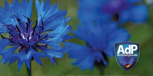 The logo of the party features a blue corn flower that has been associated in neighboring Austria with the anti-Semitic Schoenerer Movement and was used as a secret symbol by Nazi sympathizers up until the country was annexed by the Nazi Germany in 1938.