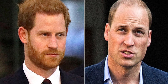 Princes Harry (left) and his older brother Prince William were the subjects of a controversial docuseries that aired on BBC.