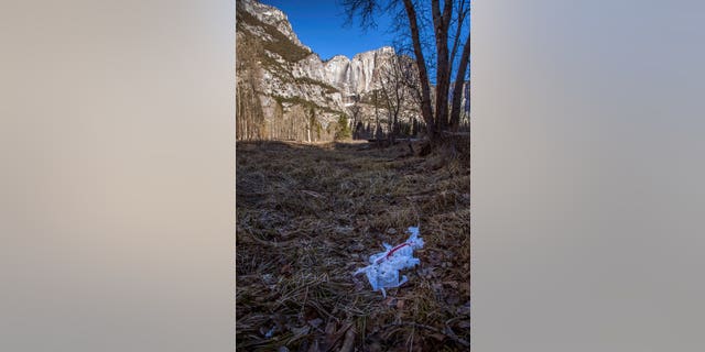   Garbage being thrown on the ground in Yosemite National Park, California 