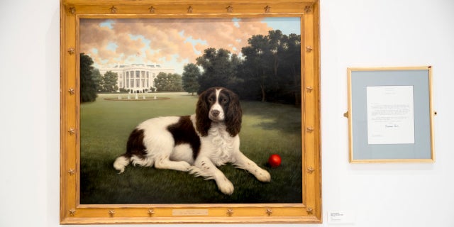 "Millie on the South Lawn" by Christine Merrill, alongside a letter from the late former first lady Barbara Bush, on display at the American Kennel Club Museum of the Dog in New York City, Jan. 9, 2019. The museum opens Feb. 8. (Associated Press)