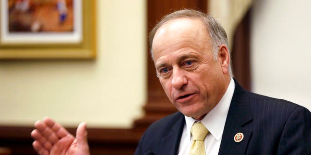   Rep. Steve King, R-Iowa, in 2014. (Photo AP / Charlie Neibergall, File) 