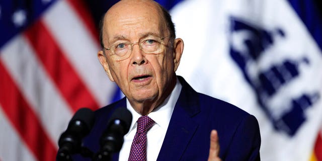 FILE - In this July 16, 2018, file photo, Department of Commerce Secretary Wilbur Ross speaks to the Department of Commerce in Washington. (AP Photo/Manuel Balce Ceneta, File)