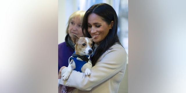 Meghan The Duchess of Sussex holds Jack Russel dog called "Minnie" during her visit to Mayhew animal welfare charity on Wednesday Jan. 16, 2019, to meet with volunteers to hear about welfare initiatives, community engagement and international projects carried out by the charity. This is Her Royal Highness's first official visit to Mayhew in her new role as Patron of the charity. (Eddie Mulholland/pool via AP)