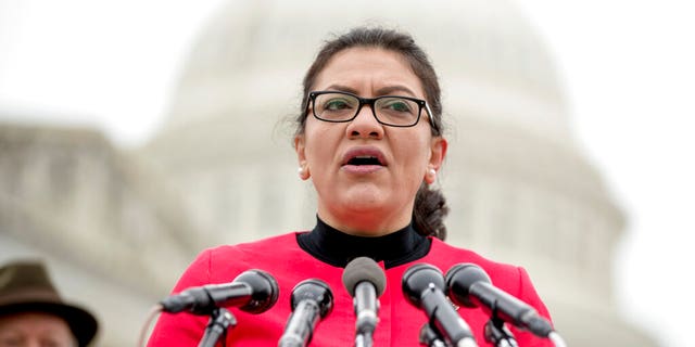 Tlaib co-sponsored a bill with other ‘Squad’ members to cancel rent during the pandemic.