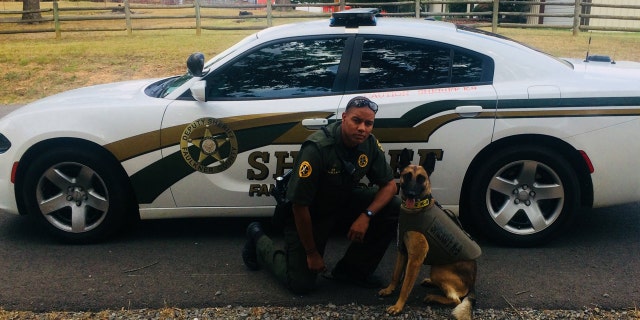 Faulkner County Deputy Keenan Wallace, a K9 handler, was fired Saturday after shooting a Chihuahua during a service call. The incident was captured on video.