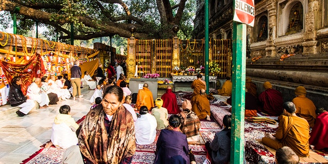 The acid-burned and butchered body of the 16-year-old was found Sunday in Gaya (pictured), a city in Bihar, India’s third most populated state.