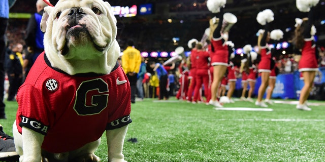 Uga the bulldog cheers on the University of Georgia as they take on the University of Texas at the 2019 Allstate Sugar Bowl at the Mercedes-Benz Superdome on Tuesday, Jan. 1, 2019, in New Orleans.