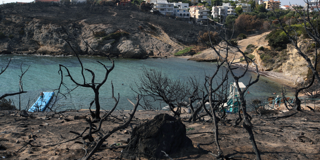 FILE In this Wednesday, Aug. 1, 2018 file photo people swim at a beach in Rafina, east of Athens, ten days after the Greece's deadliest wildfire in decades that killed 100 people. Three migrant fishermen have been awarded Greek citizenship after rescuing scores of people forced into the sea by a major wildfire outside Athens that left 100 people dead last summer. Greek President Prokopis Pavlopoulos hosted the ceremony Wednesday, Jan. 2, 2019 for Gani Xheka from Albania and Egyptians Emad El Khaimi and Mahmoud Ibrahim Musa. (AP Photo/Thanassis Stavrakis, file)