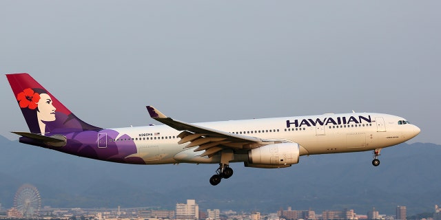 The flight was around four hours into the flight when a passenger, allegedly a convicted felon, lunged at and tried to punch a flight attendant.