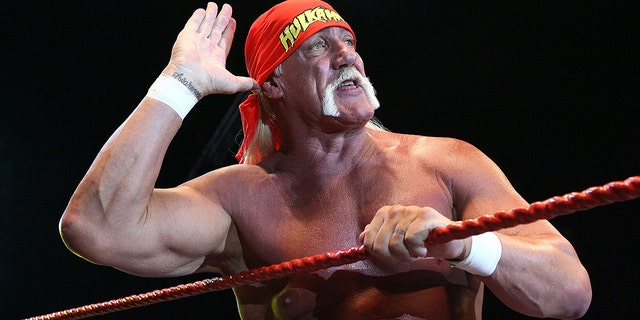 Hulk Hogan in 2009
