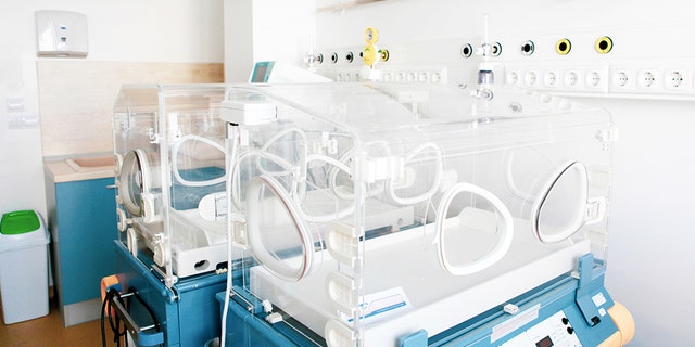 More than 50 maternity unit staff at the Staten Island University Hospital North claims the mold has sickened them.