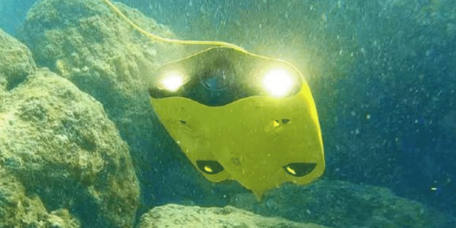 The Gladius Mini is an underwater drone that was unveiled at CES in Las Vegas, Nevada.