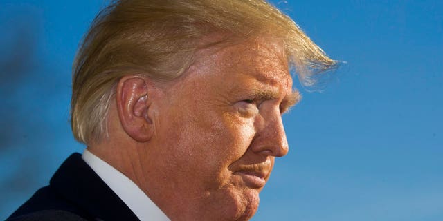 President Donald Trump pauses while speaking on the South Lawn of the White House as he walks from Marine One, Sunday, Jan. 6, 2019, in Washington. Trump returned from a trip to Camp David. (AP Photo/Alex Brandon)