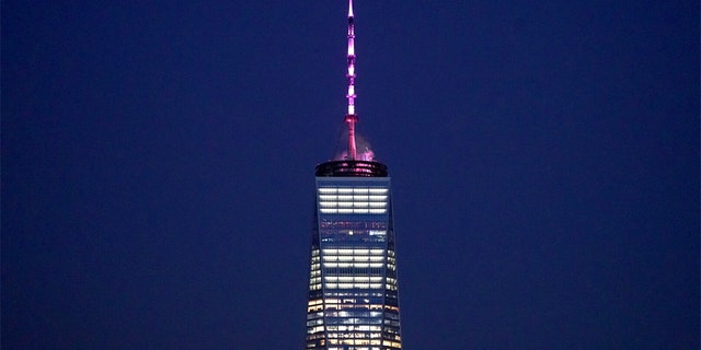 WTC-pink-1.jpg