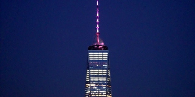 WTC-pink-1.jpg