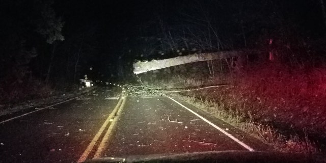 Numerous roads were closed throughout the region after strong winds brought down trees and power lines.