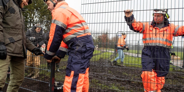 Workers erect a fence along the Denmark Germany border at Padborg, Denmark, Monday Jan. 28, 2019. Denmark has begun erecting a 70-kilometer (43.4-mile) fence along the German border to keep out wild boars in an attempt to prevent the spread of African swine fever, which could jeopardize the country's valuable pork industry. (Frank Cilius/Ritzau Scanpix via AP)