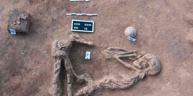 This undated handout photo provided by the Egyptian Antiquities Authority, shows a skeleton, at the Kom al-Kholgan archaeological site, about 140 kilometers (87 miles) north of Cairo, Egypt. The Antiquities Ministry said Wednesday, Jan. 23, 2019 that archaeologists have uncovered ancient tombs dating back to the Second Intermediate Period, 1782-1570 B.C., in the Nile Delta. (Egyptian Antiquities Authority via AP)