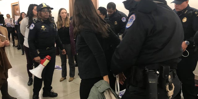 Outside the hearing room, some protesters were seen being arrested by Capitol Hill police. (Caroline McKee/Fox News)