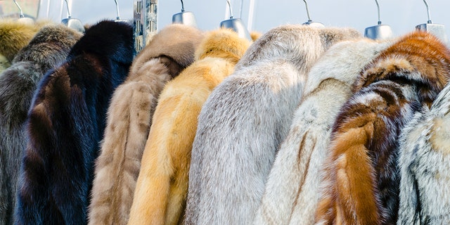 Two different retailers have been slammed by the Humane Society for passing real fur as faux on various items.
