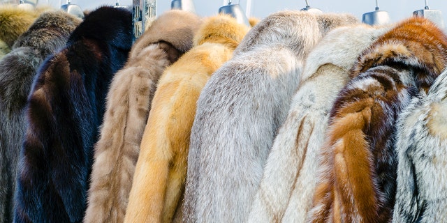 Two different retailers have been slammed by the Humane Society for passing real fur as faux on various items.