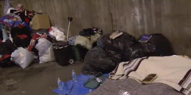 A Good Samaritan offered to pay for hotel rooms for 70 homeless people who were camped out in tents in the bitter cold that blanketed Chicago.