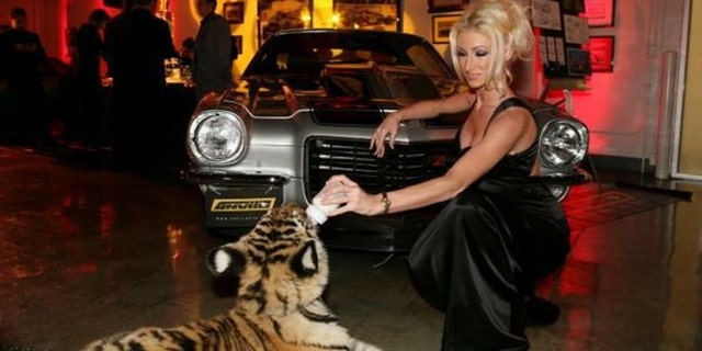 Crystal DiGregorio-Bassette filed bankruptcy when she quit porn three years ago. At one point she owned a nightclub called "Club Crystal," a $10 million mansion in Malibu, two escalades, and a Ferrari.