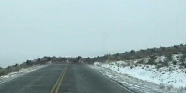 Hundreds of elk streamed across a road near a Puget Sound Energy facility.
