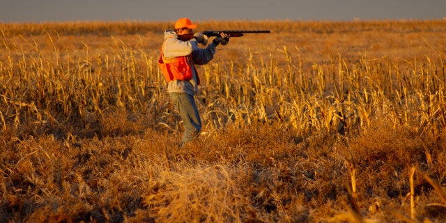 Illinois Gov. Bruce Rauner suggested that pink, as opposed to orange, would stand out even better during the fall hunting season.