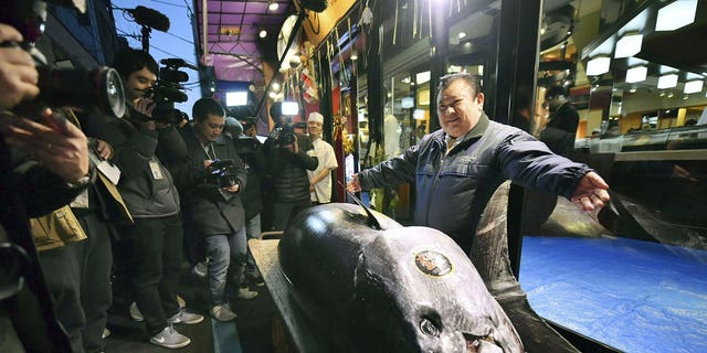 Kiyomura Corp. owner Kiyoshi Kimura, right, poses with the bluefin tuna he made a winning bid at the annual New Year auction, in front of his Sushi Zanmai restaurant in Tokyo Saturday, Jan. 5, 2019. The 612-pound (278-kilogram) bluefin tuna sold for a record 333.6 million yen ($3 million) in the first auction of 2019, after Tokyo's famed Tsukiji market was moved to a new site on the city's waterfront.