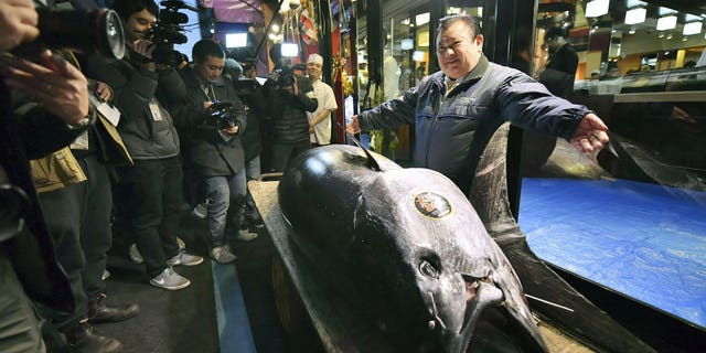 Kiyomura Corp. owner Kiyoshi Kimura, right, poses with the bluefin tuna he made a winning bid at the annual New Year auction, in front of his Sushi Zanmai restaurant in Tokyo Saturday, Jan. 5, 2019. The 612-pound (278-kilogram) bluefin tuna sold for a record 333.6 million yen ($3 million) in the first auction of 2019, after Tokyo's famed Tsukiji market was moved to a new site on the city's waterfront.