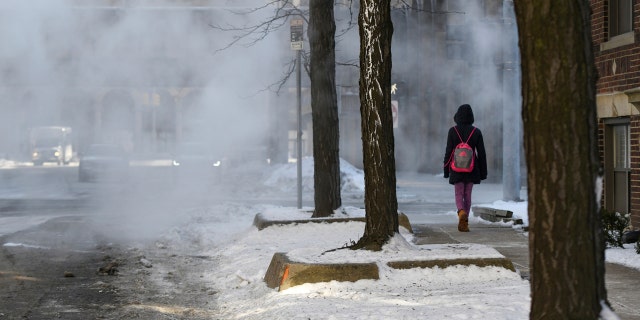 A women walks down a steamy sidewalk in Detroit's New Center Wednesday, Jan. 30, 2019 as low temperatures dip below freezing.