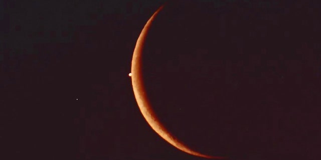 Venus appears right on the edge of the crescent moon in this photo captured by astrophotographer Victor Rogus during a lunar occultation on April 25, 1987.