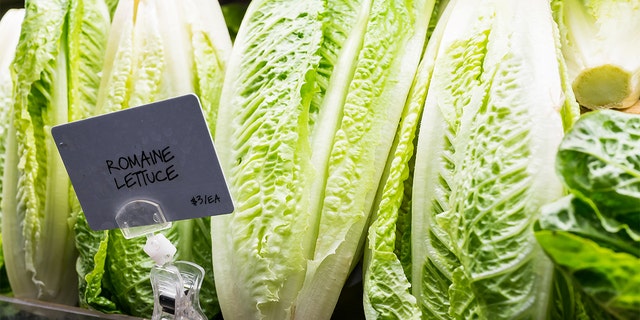The Centers for Disease Control and Prevention (CDC) announced Wednesday that a multi-state outbreak of E. coli connected to romaine lettuce “appears to be over.”