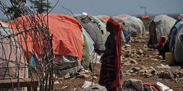 A Somali woman carries wood to make a shelter in an internally displaced people camp on Dec. 18, 2018.