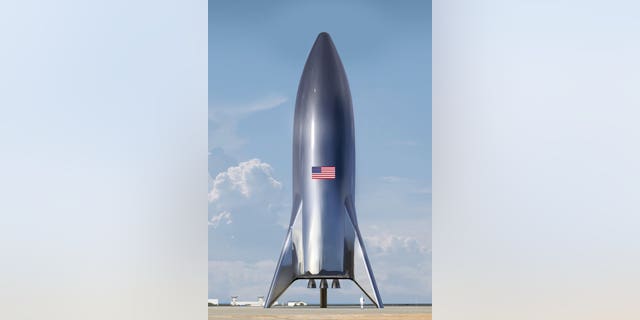 Artist's illustration of the "hopper" test-flight version of SpaceX's Starship vehicle, shared via Twitter by company founder and CEO Elon Musk on Jan. 5, 2019.