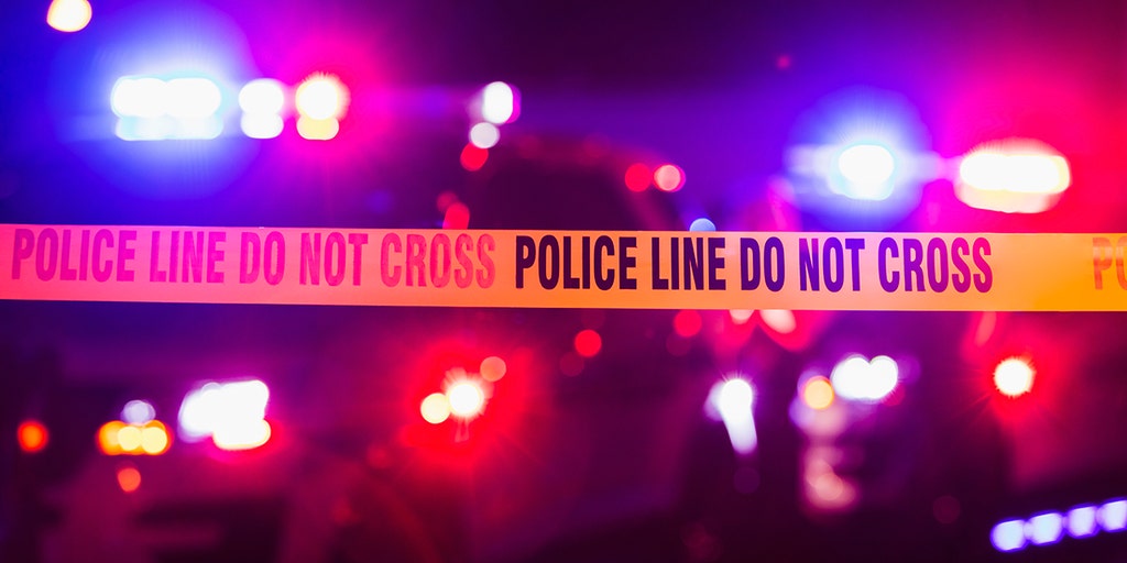 Ohio gas station owner turns table on alleged armed robber: report - Vimarsana News