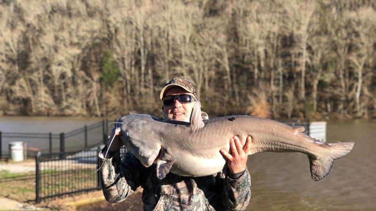 John Williams snagged the blue catfish in a 47-acre lake in Normandy.