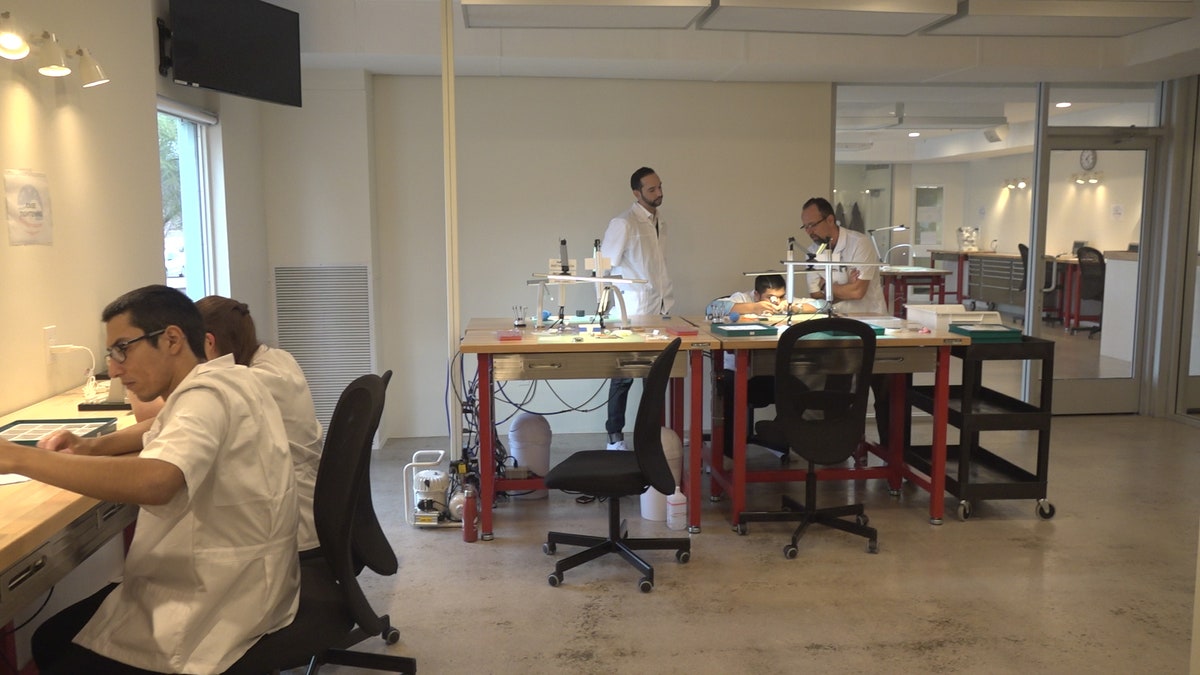 FTS USA, a watch industrial supplier company, said there's a demand for over 40,000 watchmakers in America. They'respecifically looking to hire millennials with no watch industry experience and teaching them to become certified watch technicians.