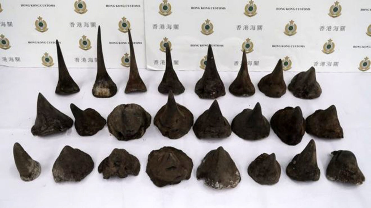 Customs officials seized more than $1 million worth of severed rhino horns at the Hong Kong International Airport on Thursday