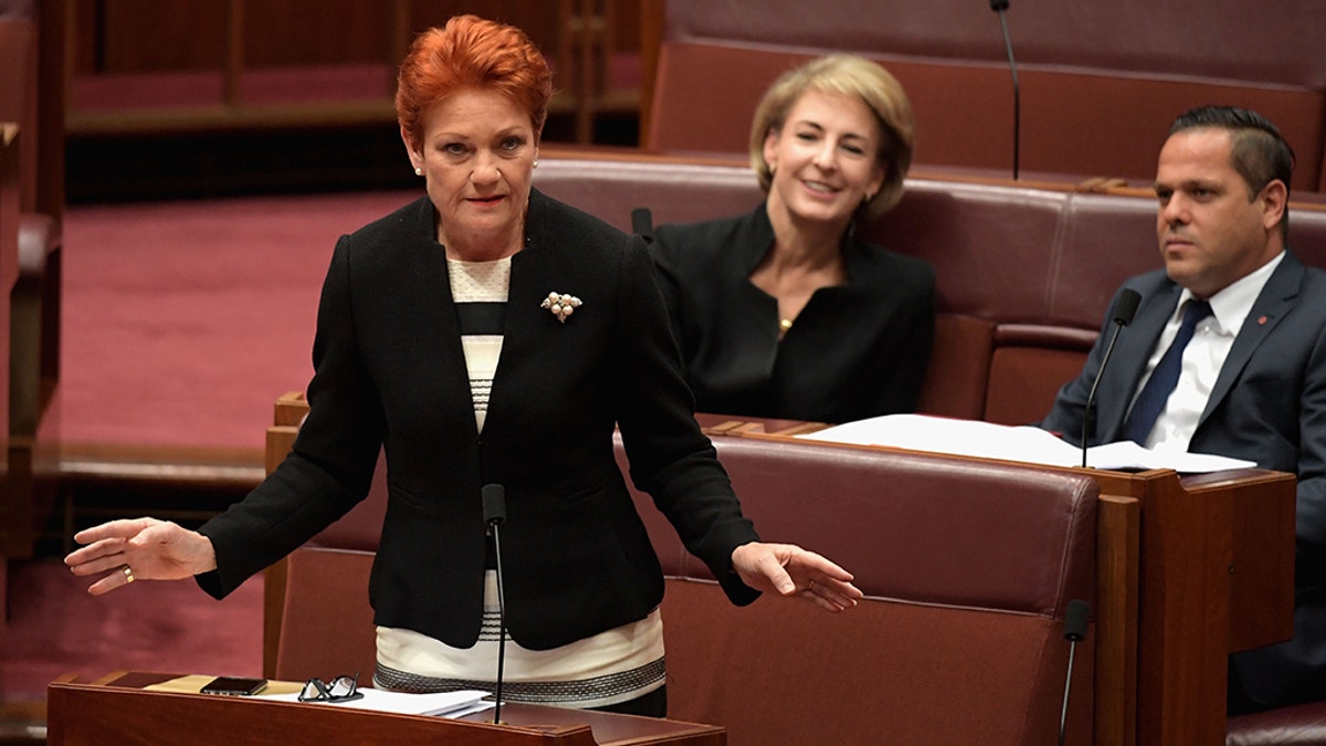 Senator Pauline Hanson, pictured in parliament in November, appears to have started the chain of events by using parliamentary privilege to accuse an unnamed senator of sexually harassing at least six staffers.