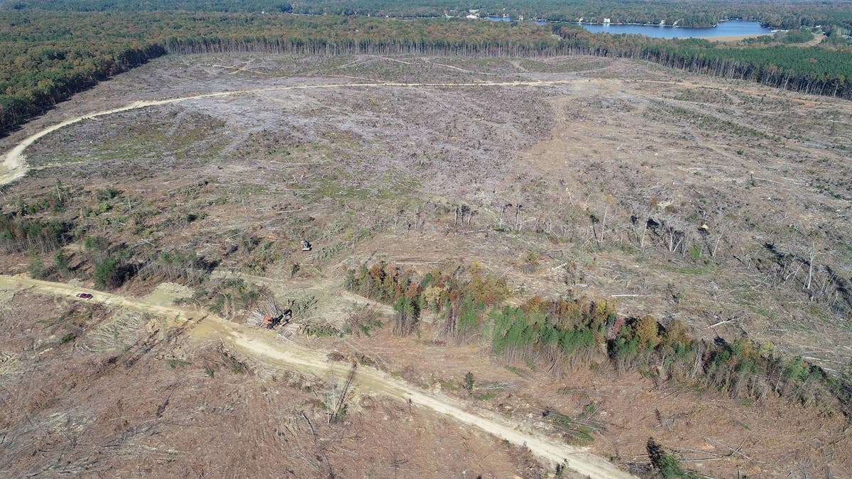 An aerial photo provided to Fox News of the proposed solar project site. (Courtesy of Michael McCord/Fredericksburg Aerial Drone Photography)