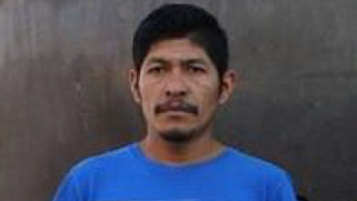 Prominent environmental activist Samir Flores Soberanes has been shot and killed in Mexico