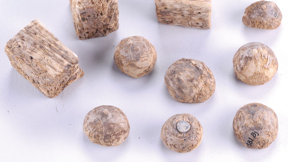 Gaming pieces from the warrior's grave.