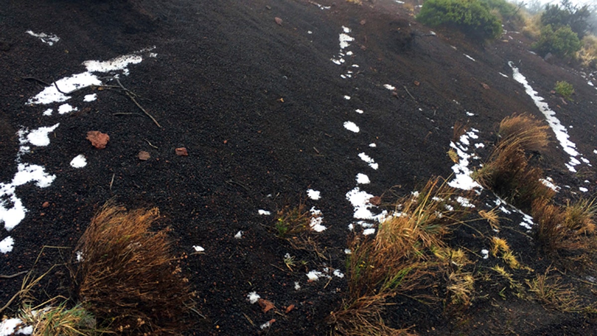 Black volcanic cinders have a dusting of snow at the Polipoli State Recreation area on the slopes of Haleakala near Kula on the Hawaii island of Maui, Monday, Feb. 11, 2019.