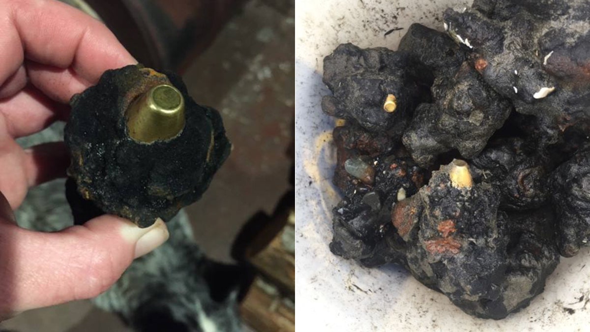 Military rounds dating back to the 1940's have been discovered on beaches in Washington state.