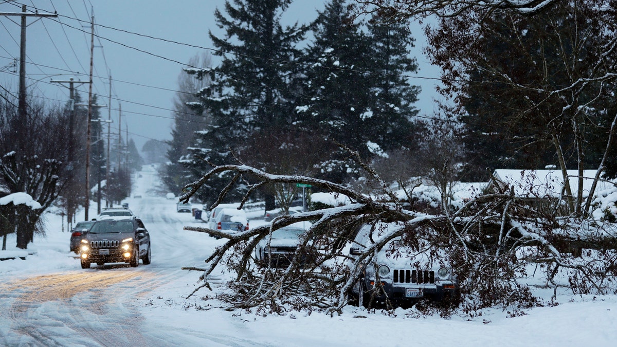A tree rests on a vehicle, Sunday, Feb. 10, 2019, on a residential street in Tacoma, Wash.