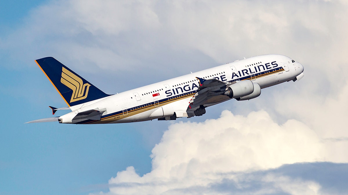 Quite a toothsome dish for one Singapore Airlines passenger.