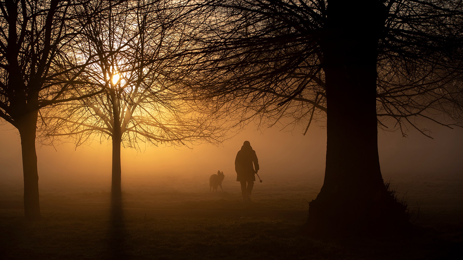 A dog walker walks through early morning fog in Clapham Common in London, England, Feb. 14, 2019.